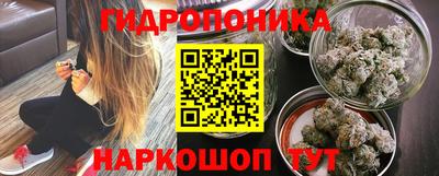 гашик Берёзовский