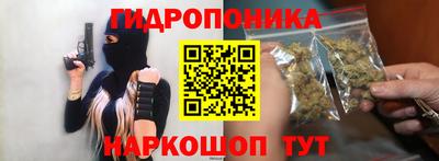 гашик Берёзовский